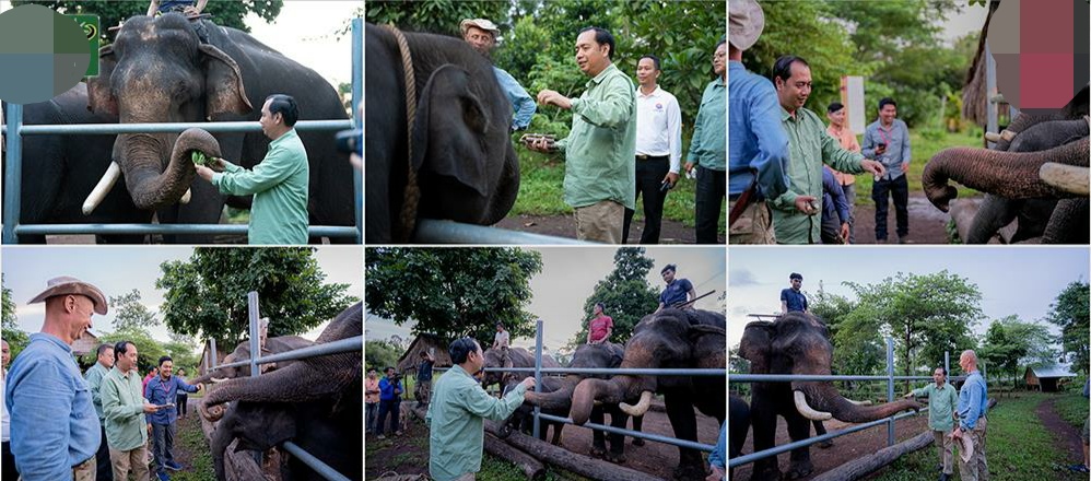 រដ្ឋមន្ត្រី នេត្រ ភក្ត្រា អំពាវនាវសប្បុរសជនបន្តចូលរួមគាំទ្រសមាគមអភិរក្សដំរីខ្មែរអៃរាវត្តា ដើម្បីផ្តល់សេចក្តីសុខដល់សត្វដំរីស្រុក ក៏ដូចជាព្យាយាមបង្កាត់ពូជឱ្យបានកូនច្រើន